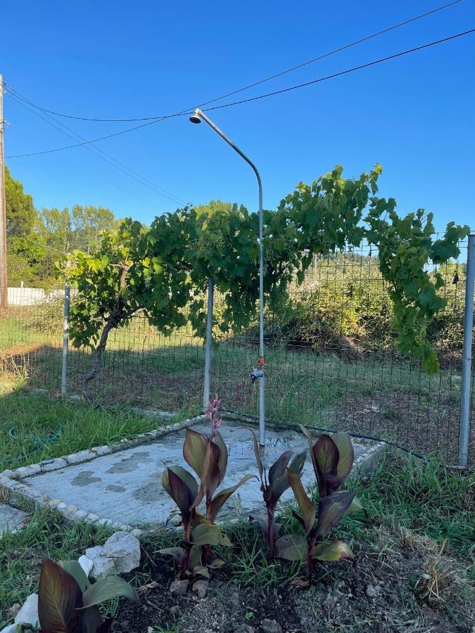 סידריון Beautiful Nearby Beach House With Garden, Private Pool And Large Yard מראה חיצוני תמונה
